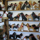 Las esculturas de sabuesos de los dueños también se pueden adquirir en la tienda de regalos al lado de la casa.